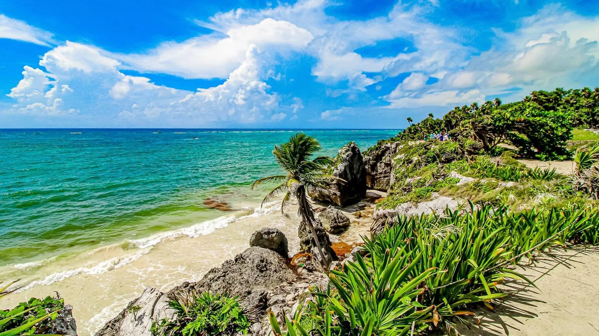 Moonlight 002 At Aldea Zama Hotell Tulum